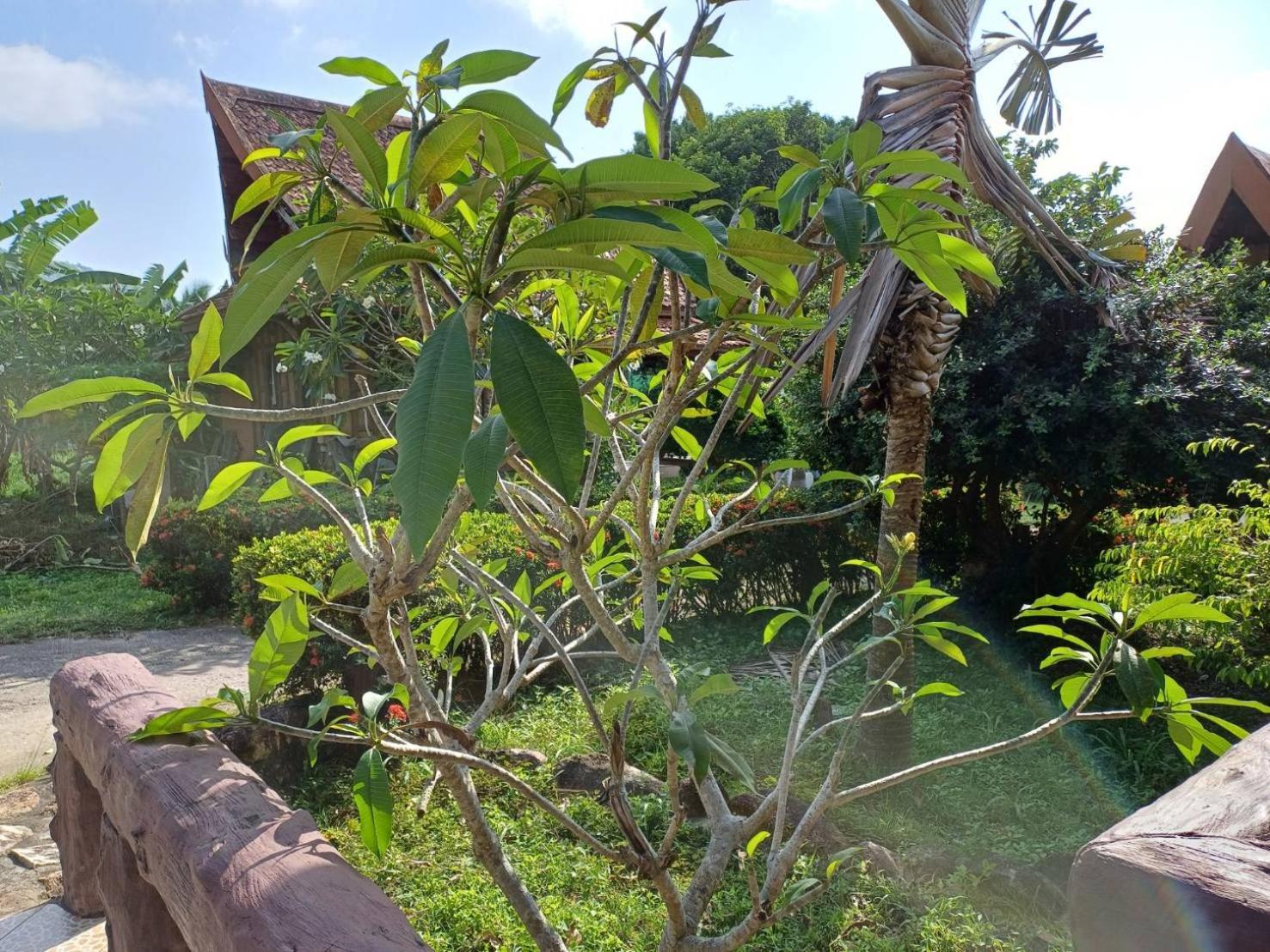 Orchid Home Ko Tao Eksteriør bilde